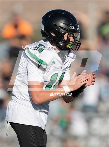 Thumbnail 2 in JV: Virgin Valley @ Moapa Valley photogallery.