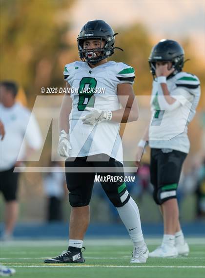 Thumbnail 3 in JV: Virgin Valley @ Moapa Valley photogallery.