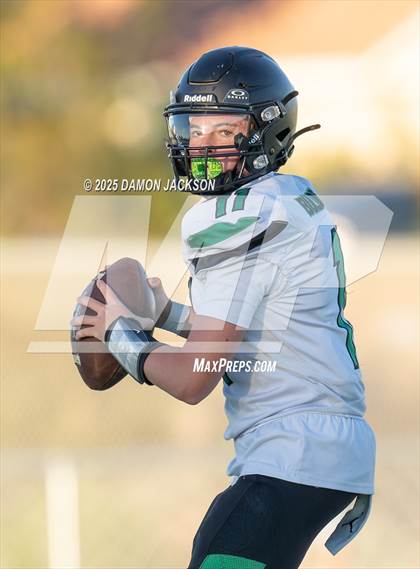 Thumbnail 3 in JV: Virgin Valley @ Moapa Valley photogallery.