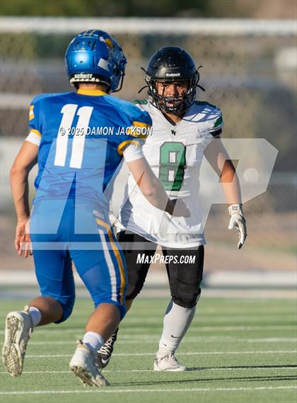 Thumbnail 3 in JV: Virgin Valley @ Moapa Valley photogallery.