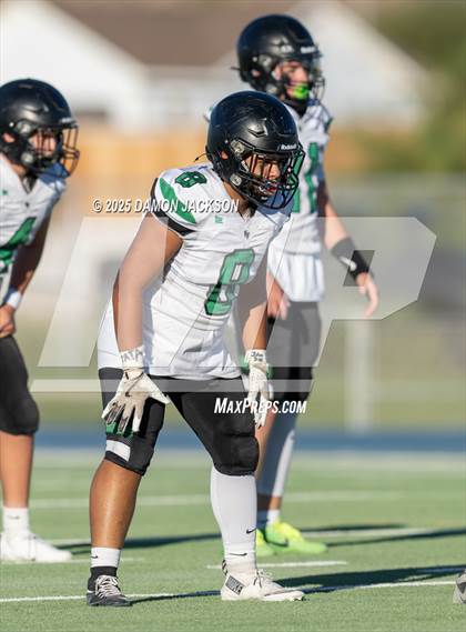 Thumbnail 2 in JV: Virgin Valley @ Moapa Valley photogallery.