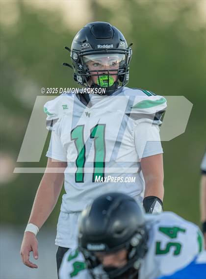 Thumbnail 3 in JV: Virgin Valley @ Moapa Valley photogallery.