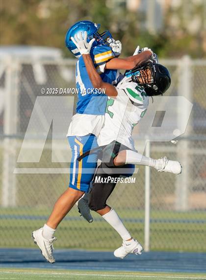 Thumbnail 1 in JV: Virgin Valley @ Moapa Valley photogallery.