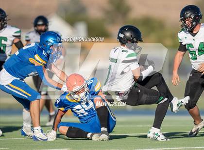 Thumbnail 1 in JV: Virgin Valley @ Moapa Valley photogallery.