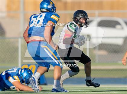 Thumbnail 3 in JV: Virgin Valley @ Moapa Valley photogallery.