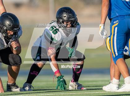Thumbnail 3 in JV: Virgin Valley @ Moapa Valley photogallery.