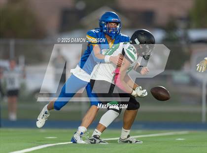 Thumbnail 1 in JV: Virgin Valley @ Moapa Valley photogallery.