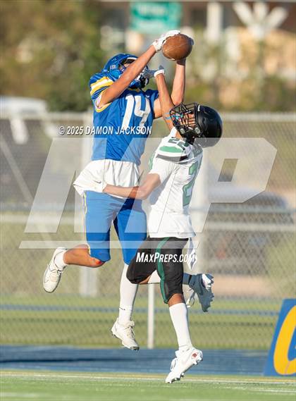 Thumbnail 3 in JV: Virgin Valley @ Moapa Valley photogallery.