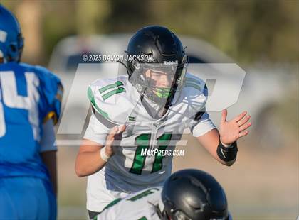 Thumbnail 2 in JV: Virgin Valley @ Moapa Valley photogallery.