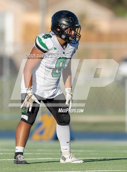 Thumbnail 1 in JV: Virgin Valley @ Moapa Valley photogallery.