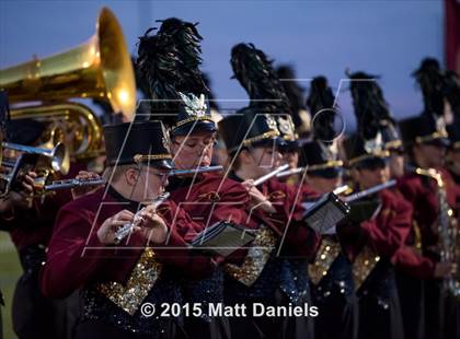 Thumbnail 2 in Falcon @ Ponderosa photogallery.