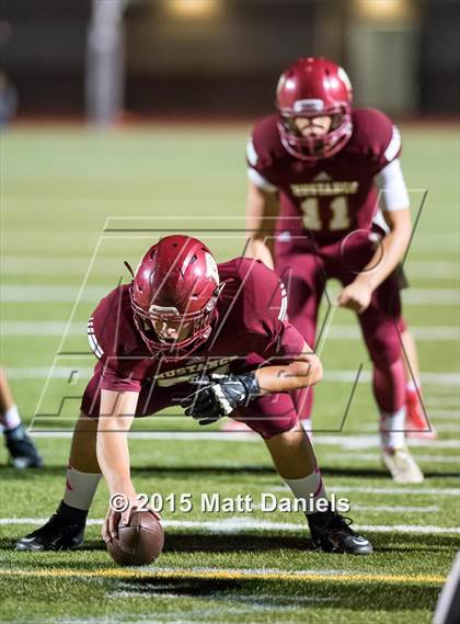 Thumbnail 2 in Falcon @ Ponderosa photogallery.