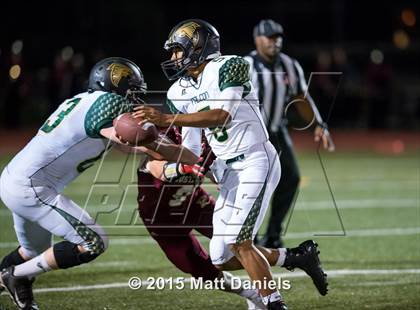 Thumbnail 1 in Falcon @ Ponderosa photogallery.