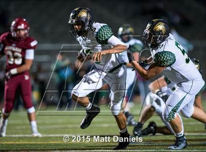 Thumbnail 3 in Falcon @ Ponderosa photogallery.