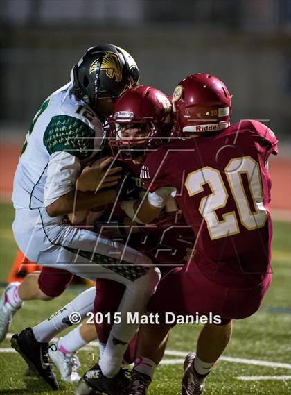 Thumbnail 2 in Falcon @ Ponderosa photogallery.