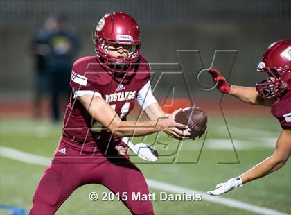 Thumbnail 2 in Falcon @ Ponderosa photogallery.