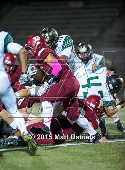 Thumbnail 3 in Falcon @ Ponderosa photogallery.