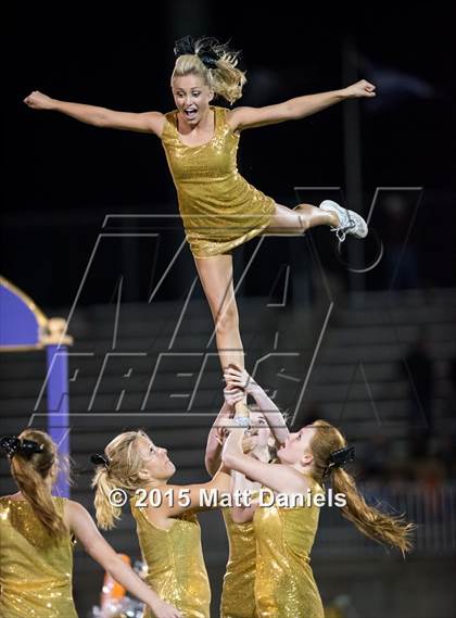 Thumbnail 3 in Falcon @ Ponderosa photogallery.