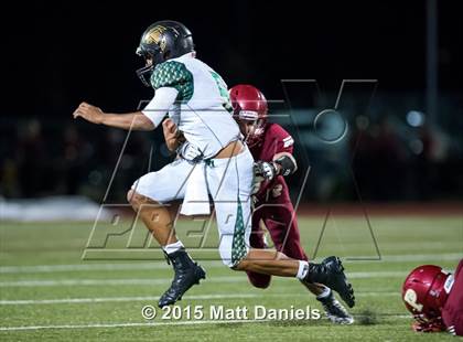 Thumbnail 1 in Falcon @ Ponderosa photogallery.