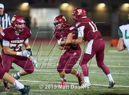 Thumbnail 3 in Falcon @ Ponderosa photogallery.