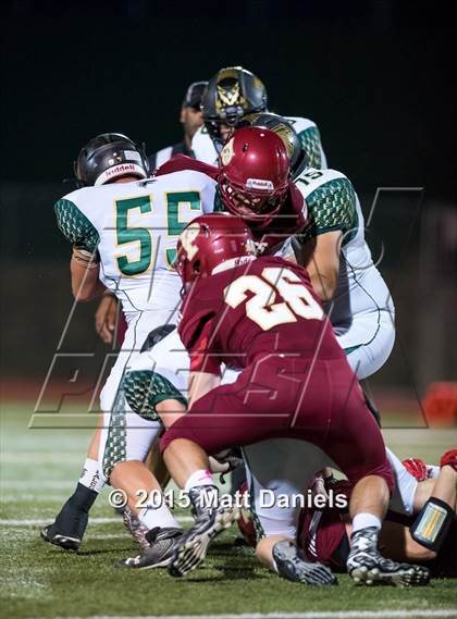 Thumbnail 2 in Falcon @ Ponderosa photogallery.
