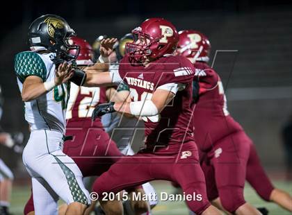 Thumbnail 1 in Falcon @ Ponderosa photogallery.
