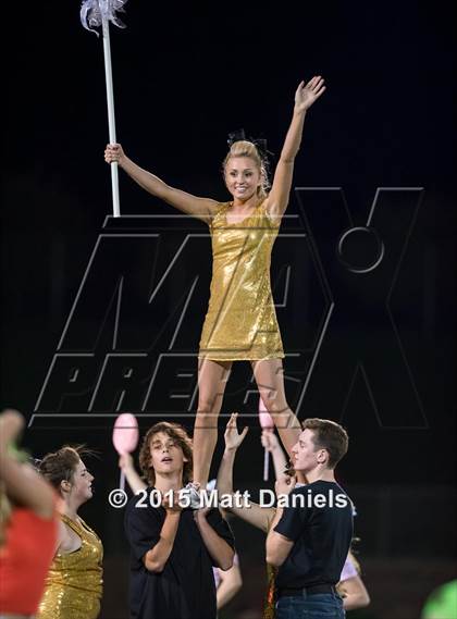 Thumbnail 1 in Falcon @ Ponderosa photogallery.