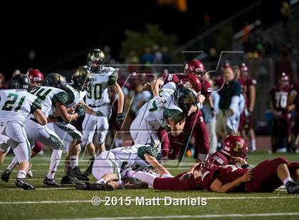 Thumbnail 2 in Falcon @ Ponderosa photogallery.