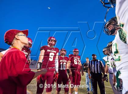 Thumbnail 2 in Falcon @ Ponderosa photogallery.