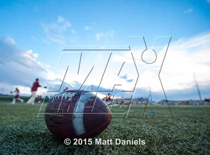 Thumbnail 1 in Falcon @ Ponderosa photogallery.