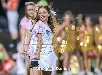 Thumbnail 2 in Falcon @ Ponderosa photogallery.