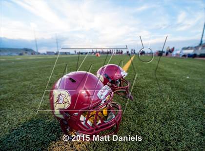 Thumbnail 3 in Falcon @ Ponderosa photogallery.