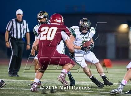 Thumbnail 2 in Falcon @ Ponderosa photogallery.