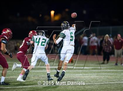 Thumbnail 2 in Falcon @ Ponderosa photogallery.