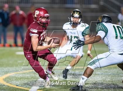 Thumbnail 3 in Falcon @ Ponderosa photogallery.