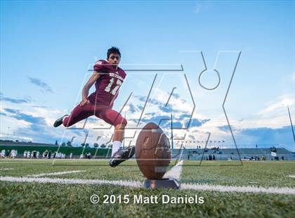 Thumbnail 1 in Falcon @ Ponderosa photogallery.