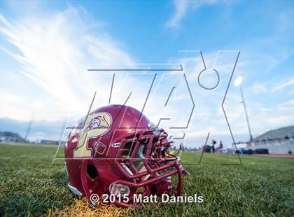 Thumbnail 1 in Falcon @ Ponderosa photogallery.