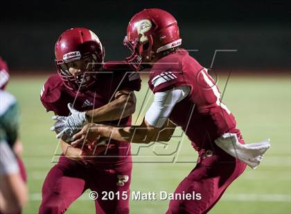 Thumbnail 3 in Falcon @ Ponderosa photogallery.