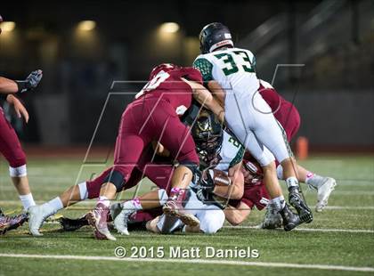 Thumbnail 1 in Falcon @ Ponderosa photogallery.