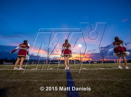Thumbnail 2 in Falcon @ Ponderosa photogallery.