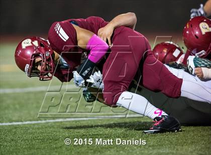 Thumbnail 1 in Falcon @ Ponderosa photogallery.