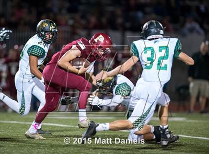 Thumbnail 2 in Falcon @ Ponderosa photogallery.