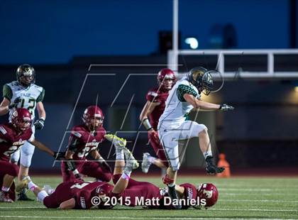 Thumbnail 3 in Falcon @ Ponderosa photogallery.