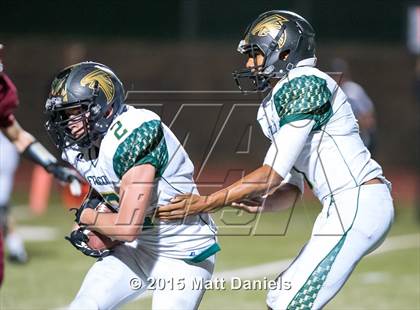 Thumbnail 2 in Falcon @ Ponderosa photogallery.