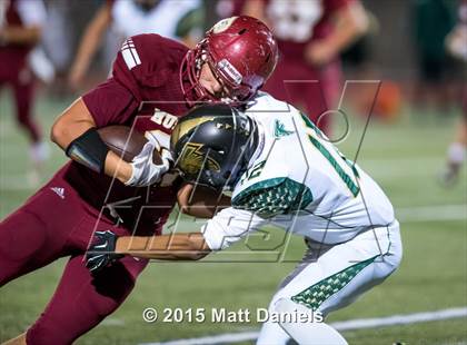 Thumbnail 1 in Falcon @ Ponderosa photogallery.