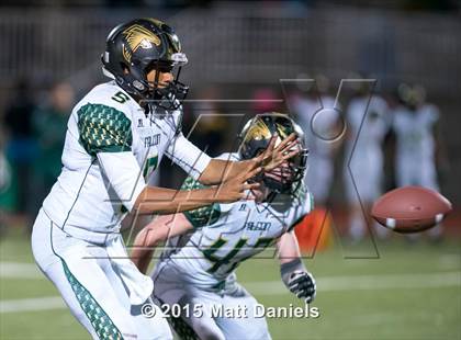 Thumbnail 2 in Falcon @ Ponderosa photogallery.