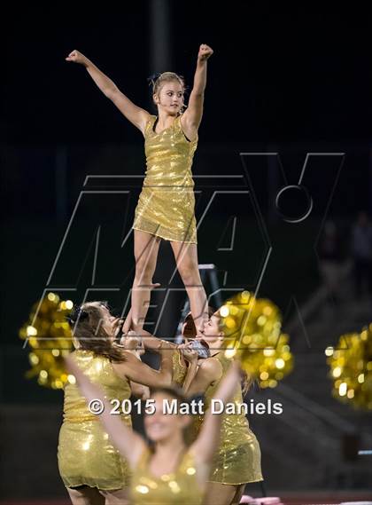 Thumbnail 2 in Falcon @ Ponderosa photogallery.