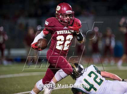 Thumbnail 2 in Falcon @ Ponderosa photogallery.