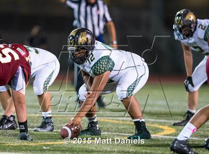 Thumbnail 2 in Falcon @ Ponderosa photogallery.