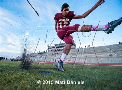Thumbnail 1 in Falcon @ Ponderosa photogallery.